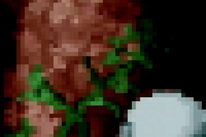 Forestal Foreteller – The Spectrum Versions